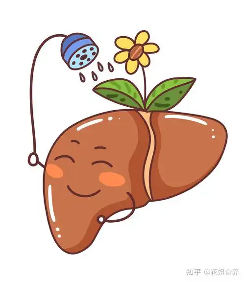 비 알코올성 감염염에 대한 새로운 희망 (NASH)